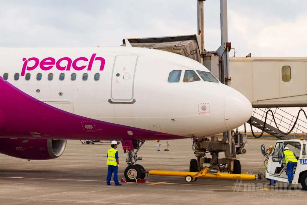 Peach 奄美名店ドットコム 写真