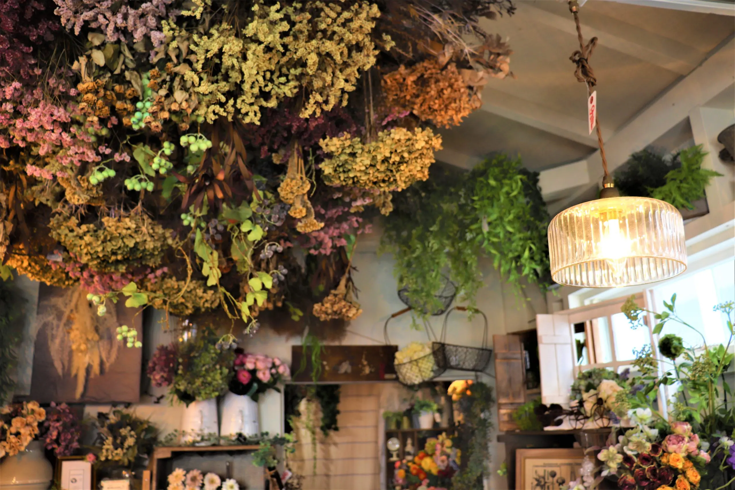 【編集】img 0626